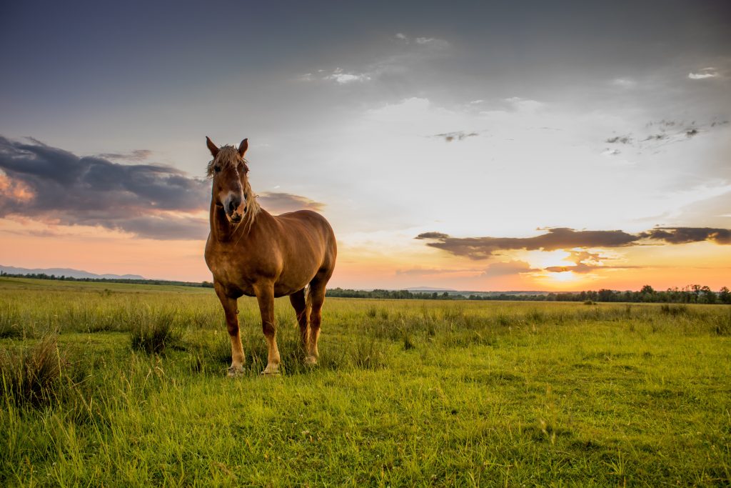 ¡Aventuras inolvidables en familia 7 experiencias únicas!
