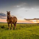 ¡Aventuras inolvidables en familia 7 experiencias únicas!