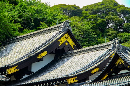 Gratis Diseño intrincado del techo del templo con detalles ornamentados frente a un exuberante bosque verde como telón de fondo. Foto de stock